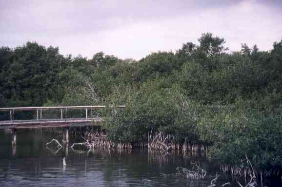 Florida Foto Galerie