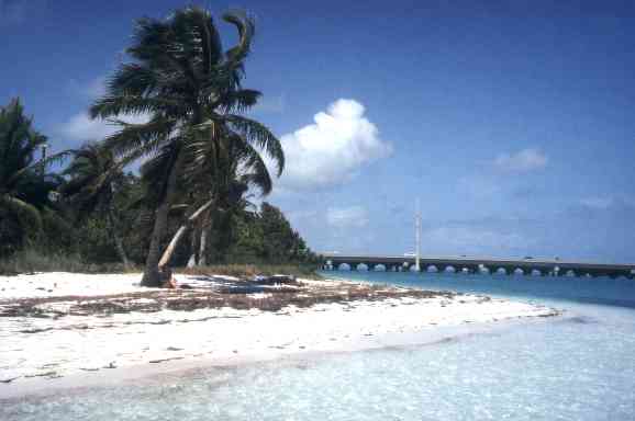 Florida Foto Galerie