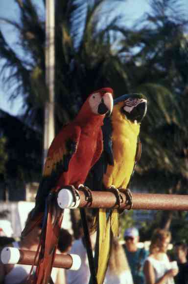 Florida Foto Galerie