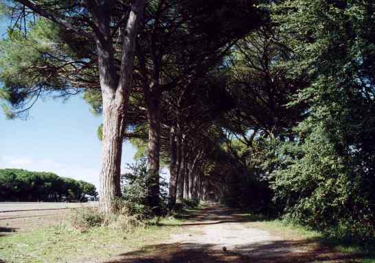 Toskana Foto Galerie